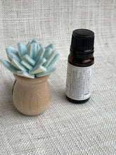 Load image into Gallery viewer, Vehicle Vent Clip/ Essential Oil Diffuser