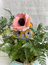 Load image into Gallery viewer, Stone Softie Plant Pal