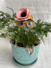 Load image into Gallery viewer, Stone Softie Plant Pal