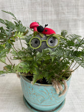 Load image into Gallery viewer, Stone Softie Plant Pal