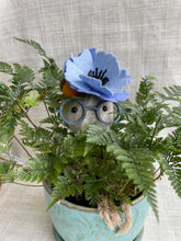 Load image into Gallery viewer, Stone Softie Plant Pal