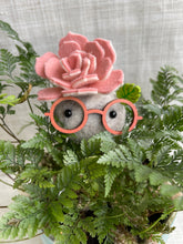 Load image into Gallery viewer, Stone Softie Plant Pal