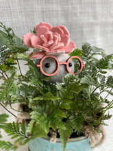 Load image into Gallery viewer, Stone Softie Plant Pal