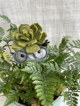 Load image into Gallery viewer, Stone Softie Plant Pal