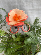 Load image into Gallery viewer, Stone Softie Plant Pal