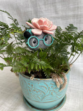 Load image into Gallery viewer, Stone Softie Plant Pal