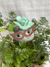 Load image into Gallery viewer, Stone Softie Plant Pal