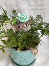 Load image into Gallery viewer, Stone Softie Plant Pal