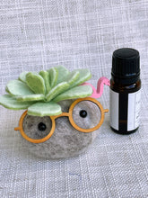 Load image into Gallery viewer, Stone Softie Vehicle Vent Clip/ Essential Oil Diffuser Set of 3