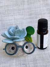 Load image into Gallery viewer, Stone Softie Vehicle Vent Clip/ Essential Oil Diffuser Set of 3