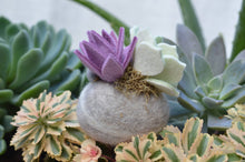 Load image into Gallery viewer, Stone Softie Plant Pal - Mint and Purple Succulent