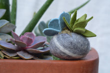 Load image into Gallery viewer, Stone Softie Plant Pal - Mossy Green and Pale Blue Succulent
