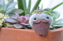 Load image into Gallery viewer, Stone Softie Plant Pal - Beardie Dude