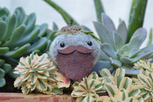 Load image into Gallery viewer, Stone Softie Plant Pal - Beardie Dude