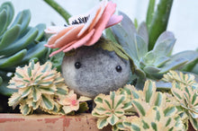 Load image into Gallery viewer, Stone Softie Plant Pal - Blush Bloom