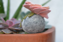 Load image into Gallery viewer, Stone Softie Plant Pal - Blush Bloom