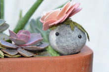 Load image into Gallery viewer, Stone Softie Plant Pal - Blush Bloom