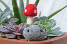 Load image into Gallery viewer, Stone Softie Plant Pal - Red Toadstool