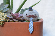 Load image into Gallery viewer, Stone Softie Plant Pal - Business Time