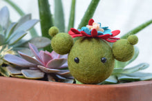 Load image into Gallery viewer, Stone Softie Plant Pal - Mr. Prickly