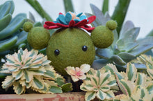 Load image into Gallery viewer, Stone Softie Plant Pal - Mr. Prickly
