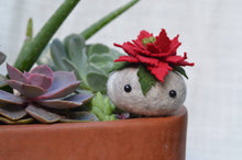 Load image into Gallery viewer, Stone Softie Plant Pal - Poinsettia Pal