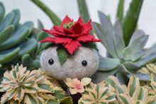 Load image into Gallery viewer, Stone Softie Plant Pal - Poinsettia Pal