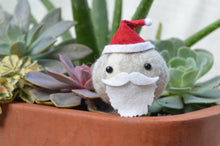 Load image into Gallery viewer, Stone Softie Plant Pal - Santa