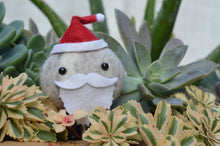 Load image into Gallery viewer, Stone Softie Plant Pal - Santa