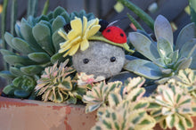 Load image into Gallery viewer, Stone Softie Plant Pal - Ladybug and Yellow Bloom