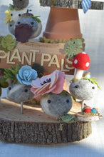 Load image into Gallery viewer, Stone Softie Plant Pal - Blush Bloom