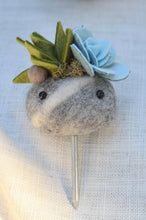 Load image into Gallery viewer, Stone Softie Plant Pal - Mossy Green and Pale Blue Succulent