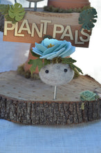 Load image into Gallery viewer, Stone Softie Plant Pal - Sky Blue Bloom