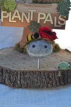 Load image into Gallery viewer, Stone Softie Plant Pal - Bumblebee and Poppy Bloom