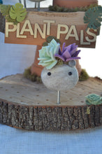 Load image into Gallery viewer, Stone Softie Plant Pal - Mint and Purple Succulent