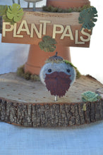 Load image into Gallery viewer, Stone Softie Plant Pal - Beardie Dude