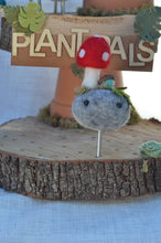 Load image into Gallery viewer, Stone Softie Plant Pal - Red Toadstool