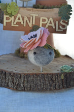 Load image into Gallery viewer, Stone Softie Plant Pal - Blush Bloom