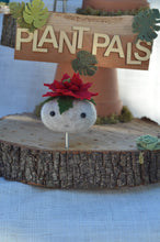 Load image into Gallery viewer, Stone Softie Plant Pal - Poinsettia Pal