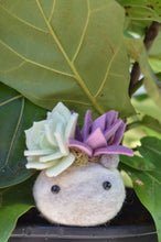 Load image into Gallery viewer, Stone Softie Plant Pal - Mint and Purple Succulent