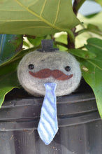 Load image into Gallery viewer, Stone Softie Plant Pal - Business Time