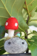 Load image into Gallery viewer, Stone Softie Plant Pal - Red Toadstool