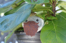 Load image into Gallery viewer, Stone Softie Plant Pal - Beardie Dude