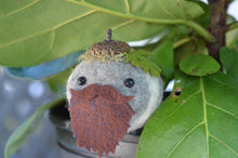 Load image into Gallery viewer, Stone Softie Plant Pal - Beardie Dude
