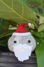 Load image into Gallery viewer, Stone Softie Plant Pal - Santa