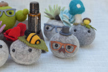 Load image into Gallery viewer, Stone Softie Vehicle Vent Clip/ Essential Oil Diffuser - Pistachio and Sky Blue Succulents With Driving Glasses