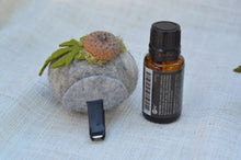 Load image into Gallery viewer, Stone Softie Vehicle Vent Clip/ Essential Oil Diffuser - Beardie with Acorn