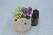 Load image into Gallery viewer, Stone Softie Vehicle Vent Clip/ Essential Oil Diffuser - Mint and Purple Succulents