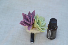 Load image into Gallery viewer, Stone Softie Vehicle Vent Clip/ Essential Oil Diffuser - Mint and Purple Succulents