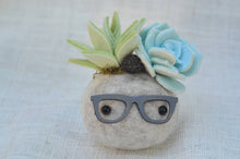 Load image into Gallery viewer, Stone Softie Vehicle Vent Clip/ Essential Oil Diffuser - Pistachio and Sky Blue Succulents With Driving Glasses